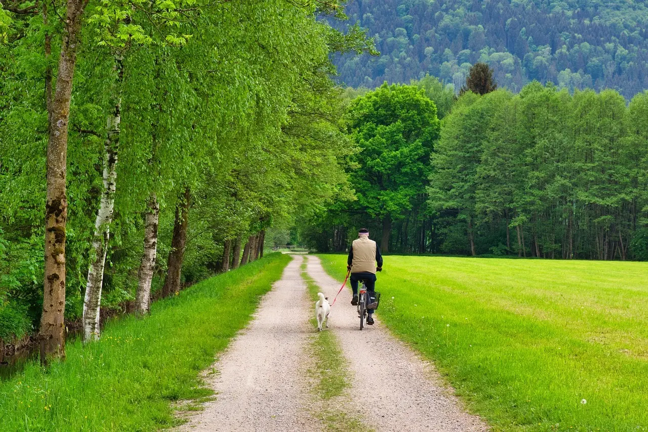 På cykelferie i Sydsverige - her er 5 ideer til hvad du kan opleve (Malmö fodboldkamp og 4 andre)